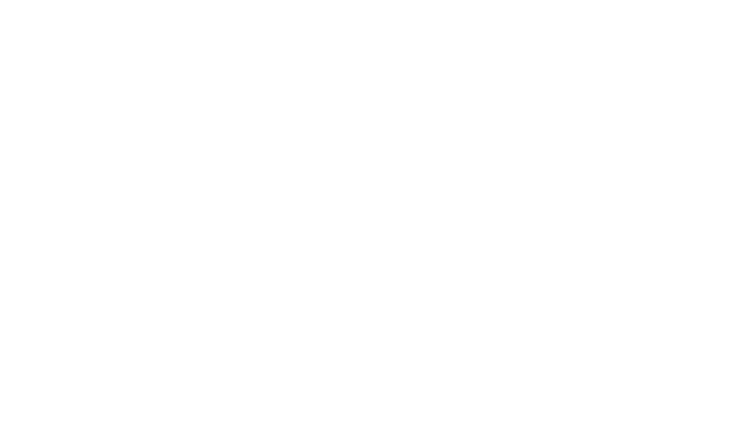 Bear Naked Logo